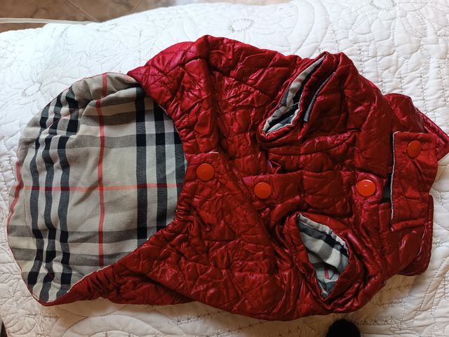 Abrigo perro pequeño Trendy