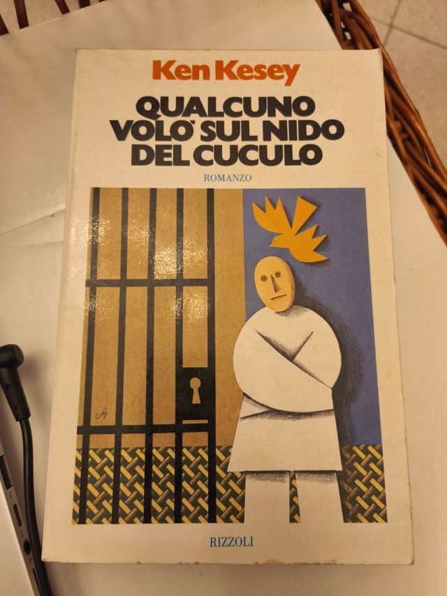 Qualcuno volò sul nido del cuculo