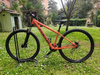 2 Bici Focus Whistler 3.5 29”. 1 Bici euro 400