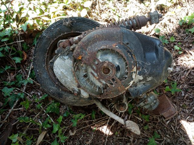 motor vespa primavera