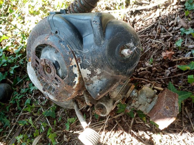 motor vespa primavera