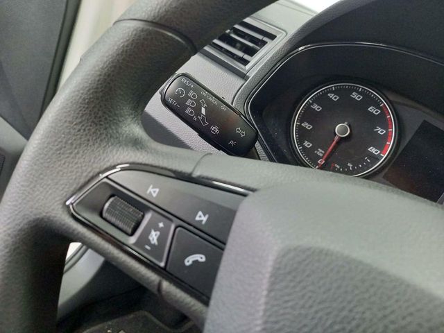 Seat Ibiza 1.0 TGI 66kW (90CV) 2 PLAZAS PROFESIONAL