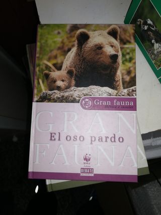 Gran fauna ibérica e insular, 3 x 5