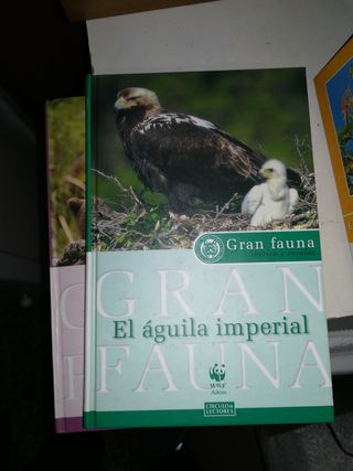 Gran fauna ibérica e insular, 3 x 5