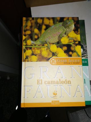 Gran fauna ibérica e insular, 3 x 5