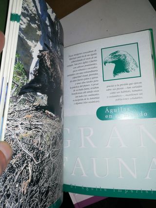 Gran fauna ibérica e insular, 3 x 5