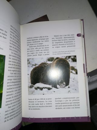 Gran fauna ibérica e insular, 3 x 5