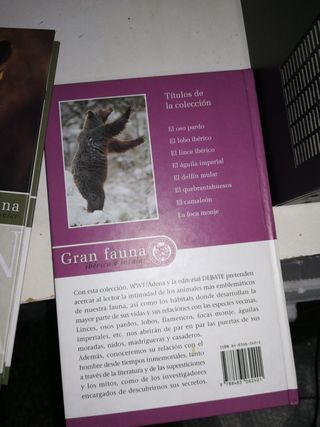 Gran fauna ibérica e insular, 3 x 5