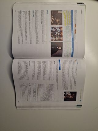Lengua castellana y literatura 1° bach - ANAYA