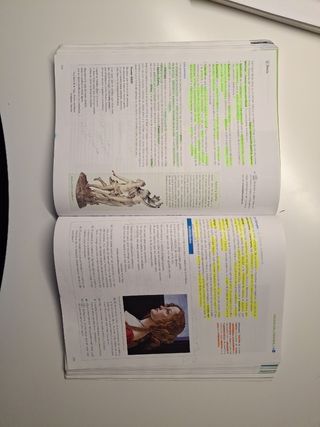 Lengua castellana y literatura 1° bach - ANAYA