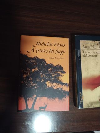 Las nueve caras del corazón (LITERATURAS) (Spanish Edition)