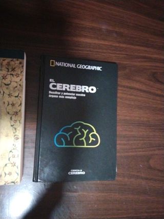 Las nueve caras del corazón (LITERATURAS) (Spanish Edition)