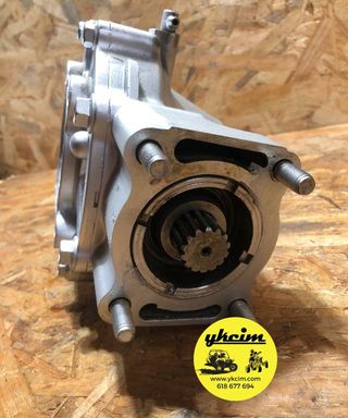 Diferencial trasero Yamaha Bruin 250