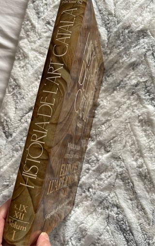 Libro Història de l’art Català vol. I
