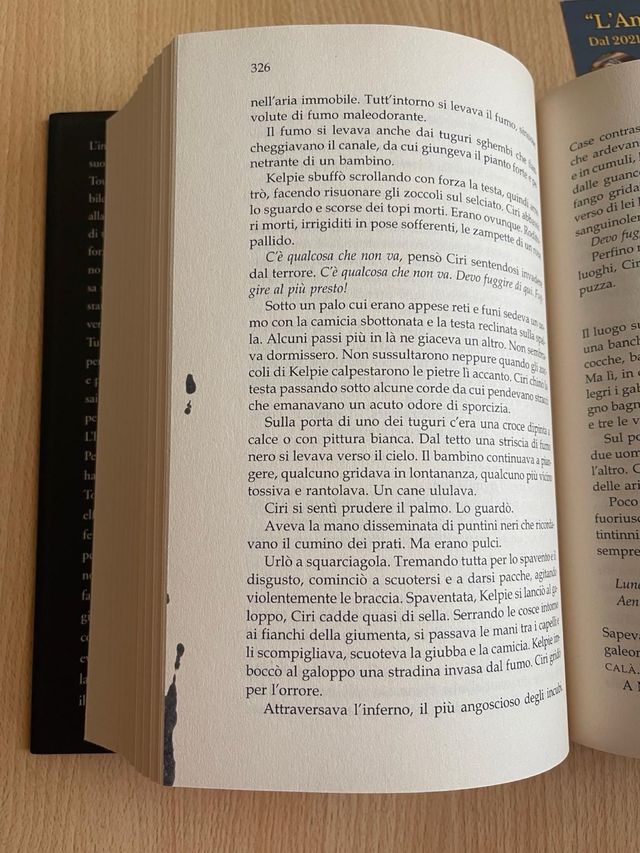 The Witcher la signora del lago prima edizione