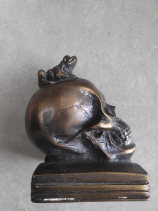 Calavera figura resina Universidad Salamanca