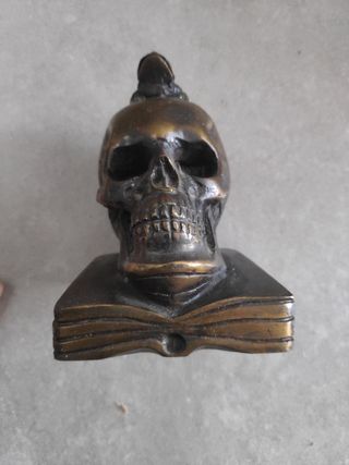 Calavera figura resina Universidad Salamanca