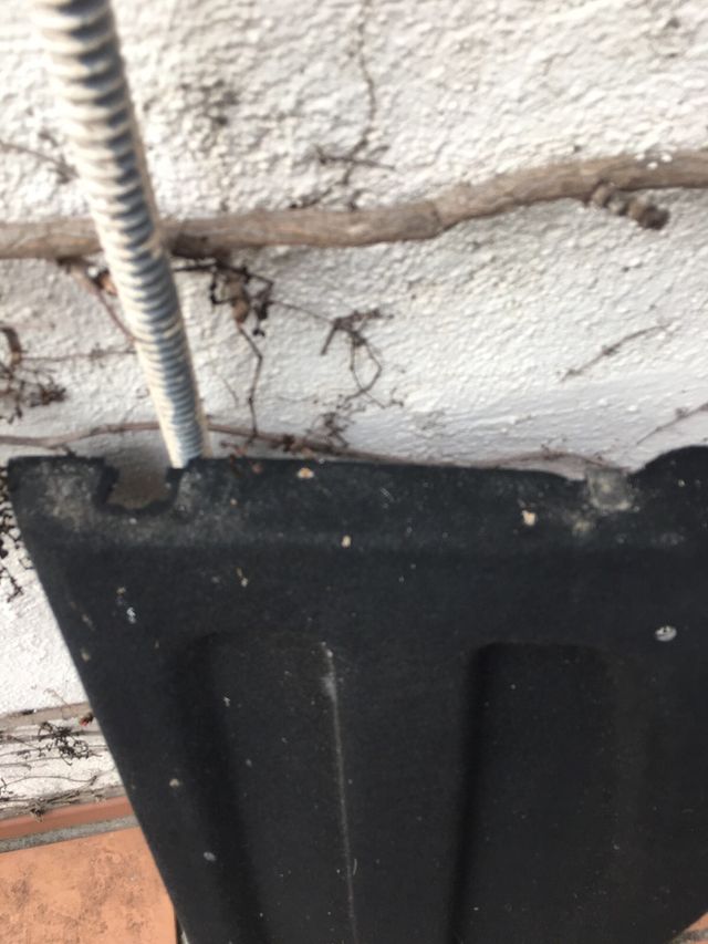 Bandeja trasera citroen c3 puretech