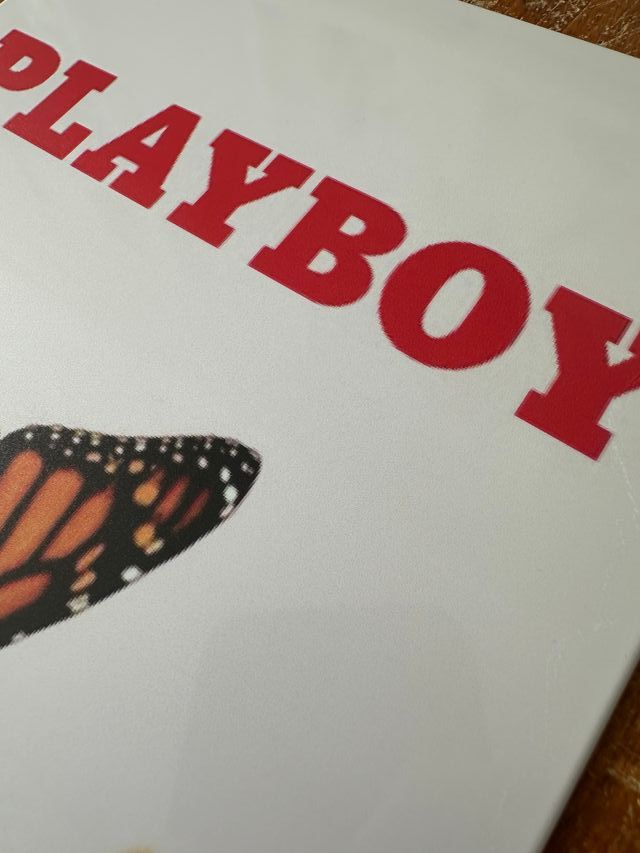 PlayBoy - Targa Insegna Poster