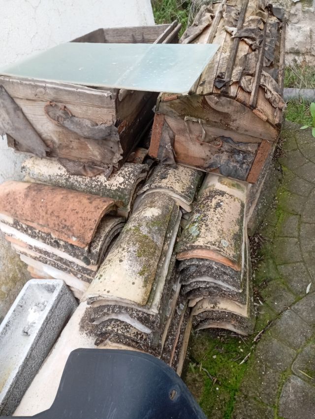 Tejas en buen estado