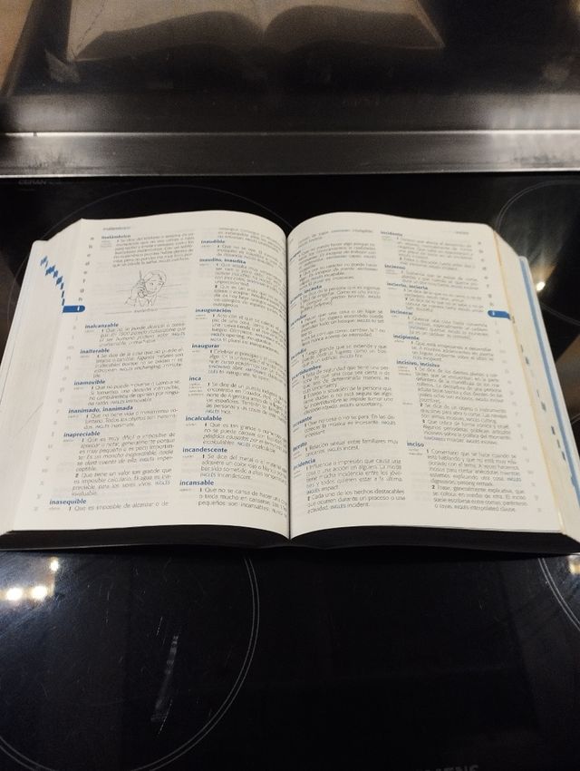 Diccionario de primaria,muy completo,vox