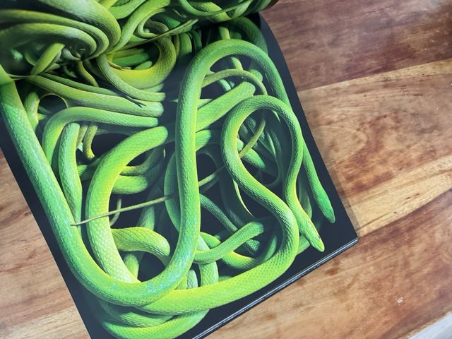 libro fotografía More than Human UK edition