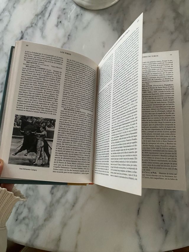 DICCIONARIO DEL TORERO