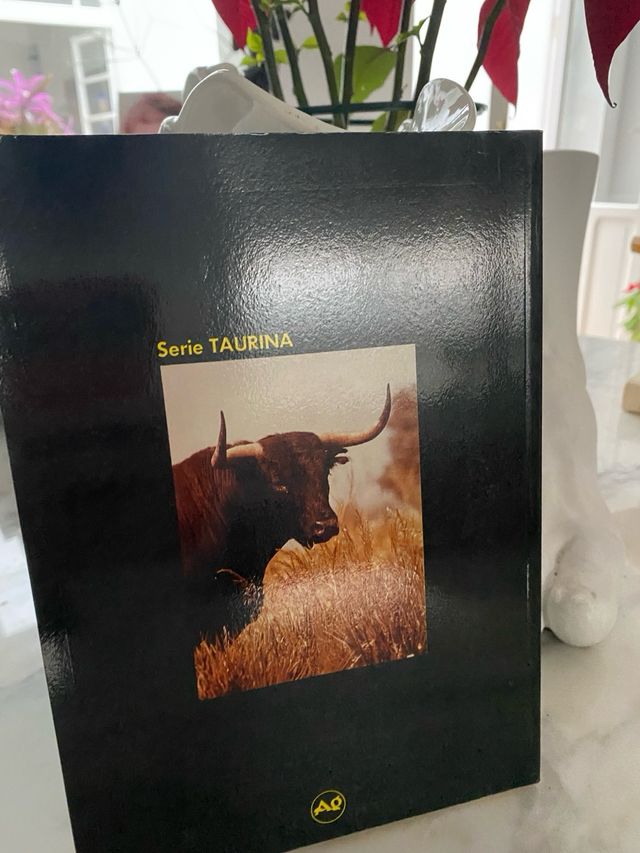 TRECE GANADEROS ROMANTICOS