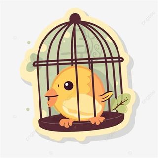 CUIDADO DE MASCOTAS A DOMICILIO, PASEOS,