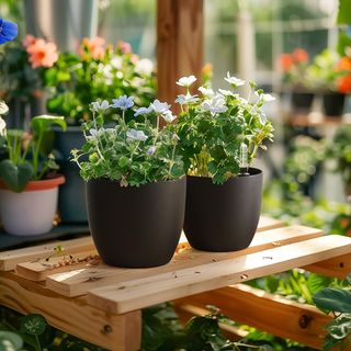 Riego Plantador Negro 22CM 