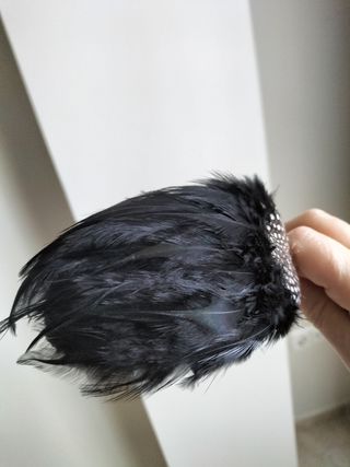 Diadema 