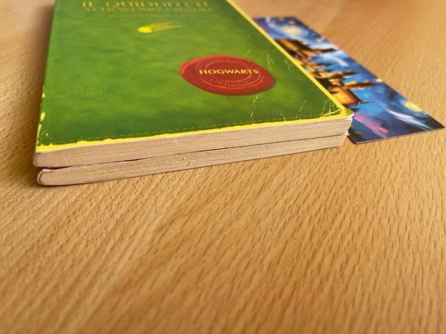 Harry Potter animali fantastici quidditch 2002