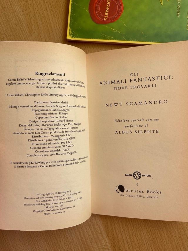 Harry Potter animali fantastici quidditch 2002