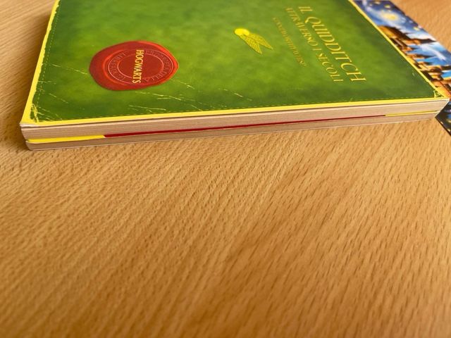 Harry Potter animali fantastici quidditch 2002