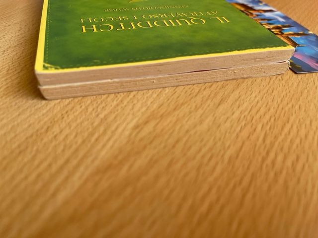 Harry Potter animali fantastici quidditch 2002