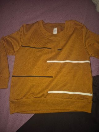 Conjunto fresco de menino