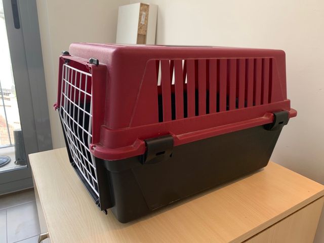 Transportin animales