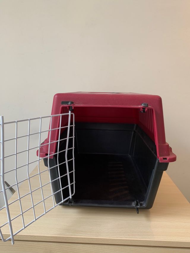 Transportin animales