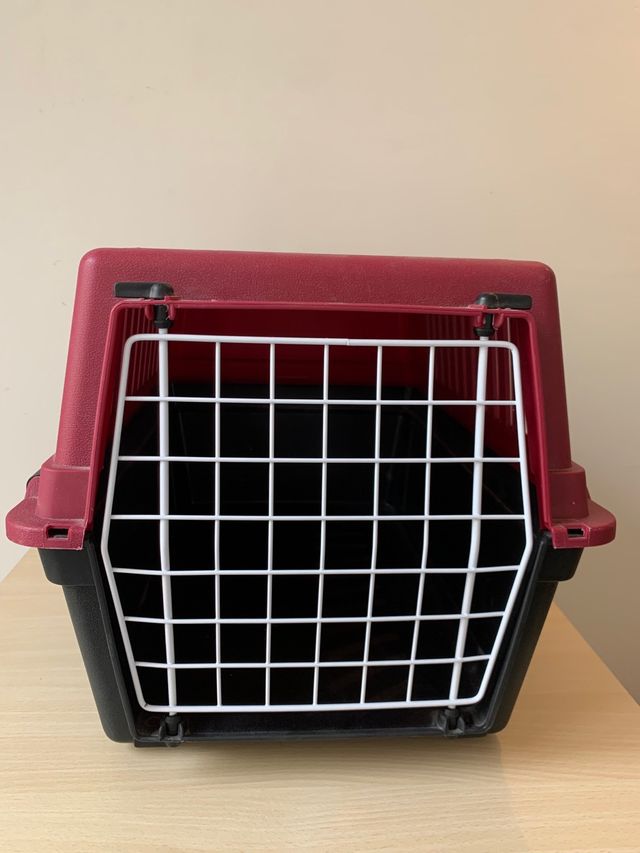 Transportin animales