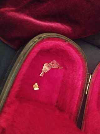 Estuche para violín antiguo