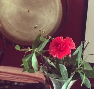 solo venta en persona precio no negociable