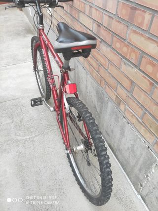 Bh Top Line 300