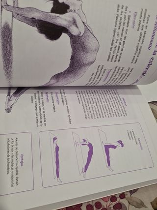 Yoga: Teoría y Práctica (Saber Más) (Spanish Edition)