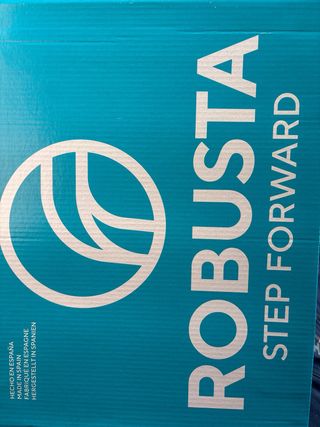 zapatos de seguridad Robusta