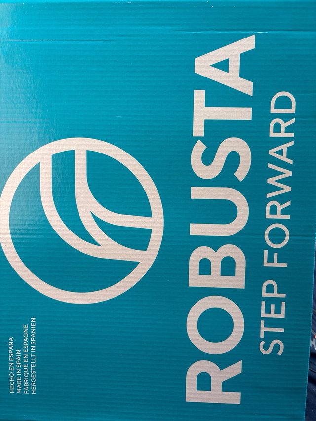 zapatos de seguridad Robusta