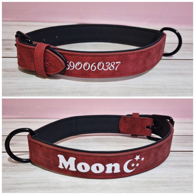 Collar de perro personalizado