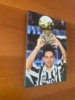 Quadro di Roberto Baggio 