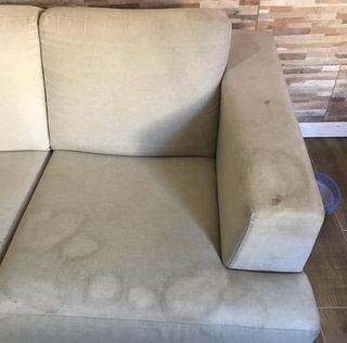 Limpieza tapizado coche sofa