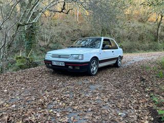 Peugeot 309 1989