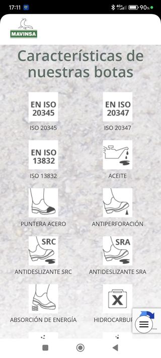 Botas de seguridad